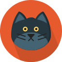 kitty